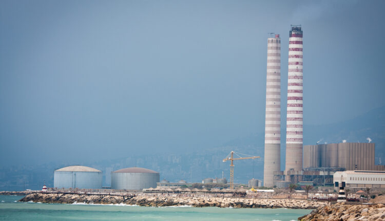 zouq plant 7 2