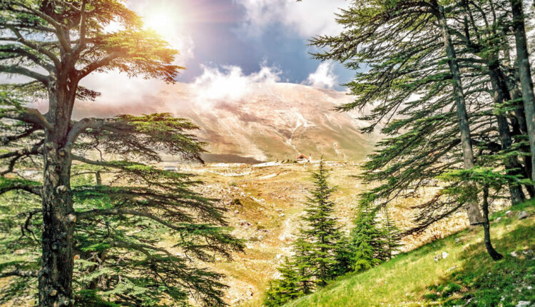 LEBANONS CORPORATE GREEN CONTRIBUTION 1170×595 2