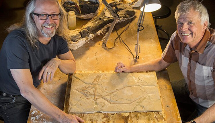 Pterodactyls Lebanon 2